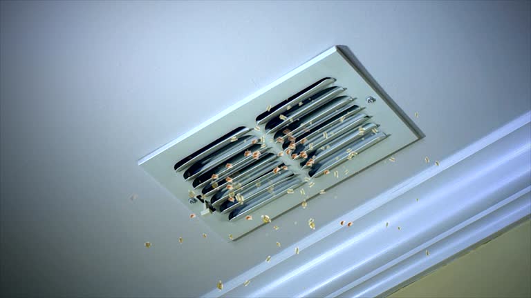Best Local Air Duct Cleaning Services  in Paradise Valley, AZ